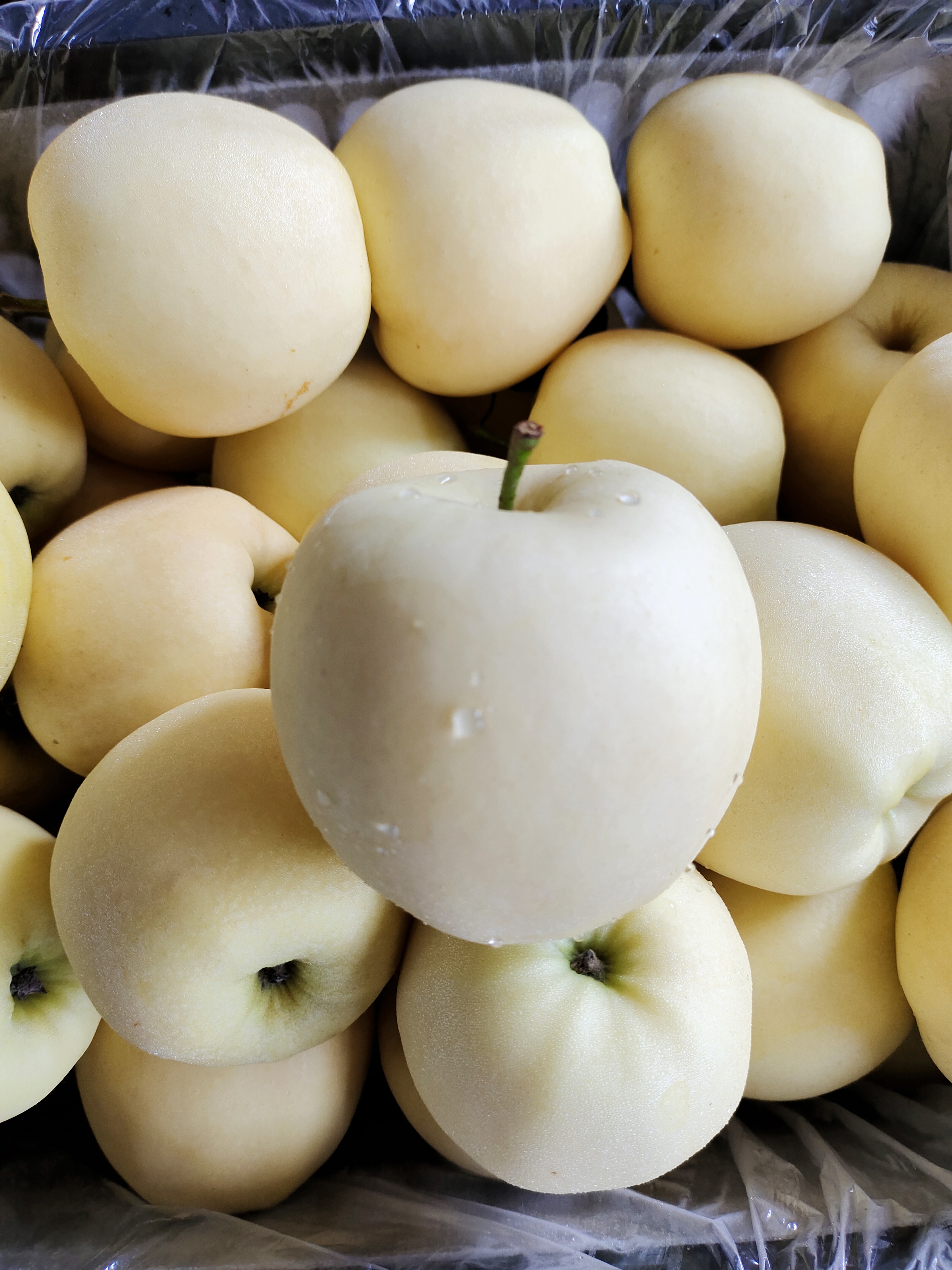 黄金帅新鲜5斤东北特产幼儿辅食农家自产黄香蕉孕妇营养黄元帅