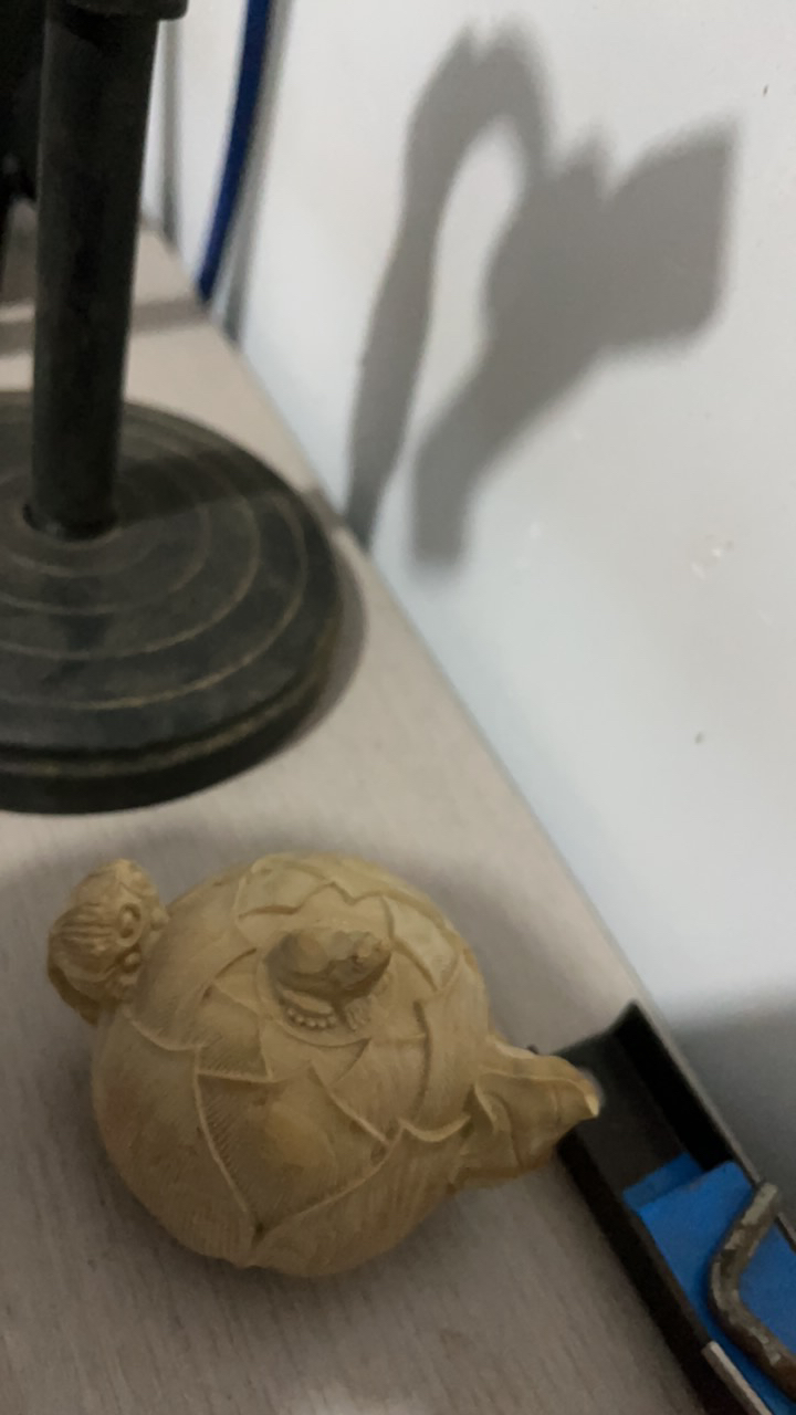 小叶黄杨木没有抛光