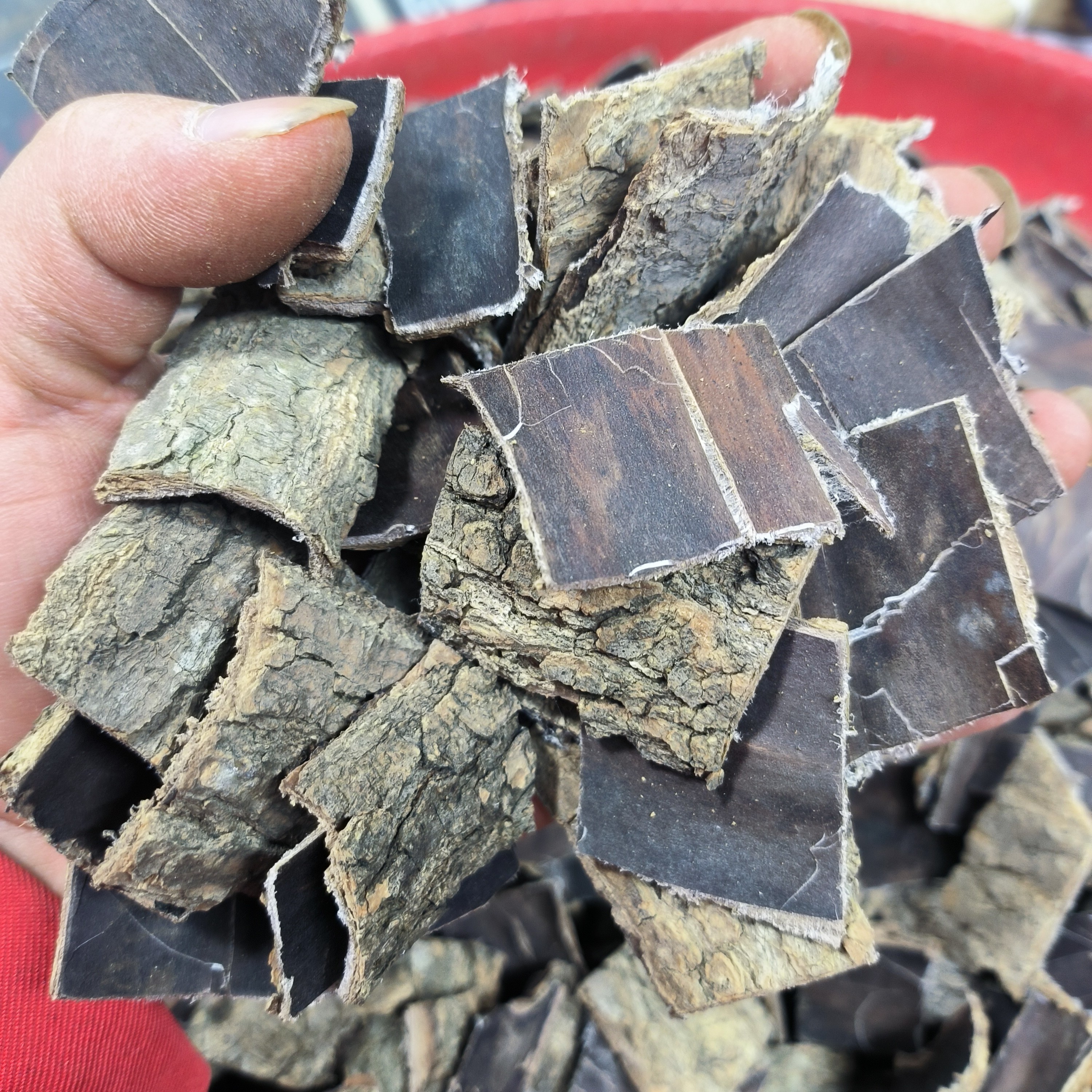 杜仲 伏牛山大山老树杜仲农家自晒包邮