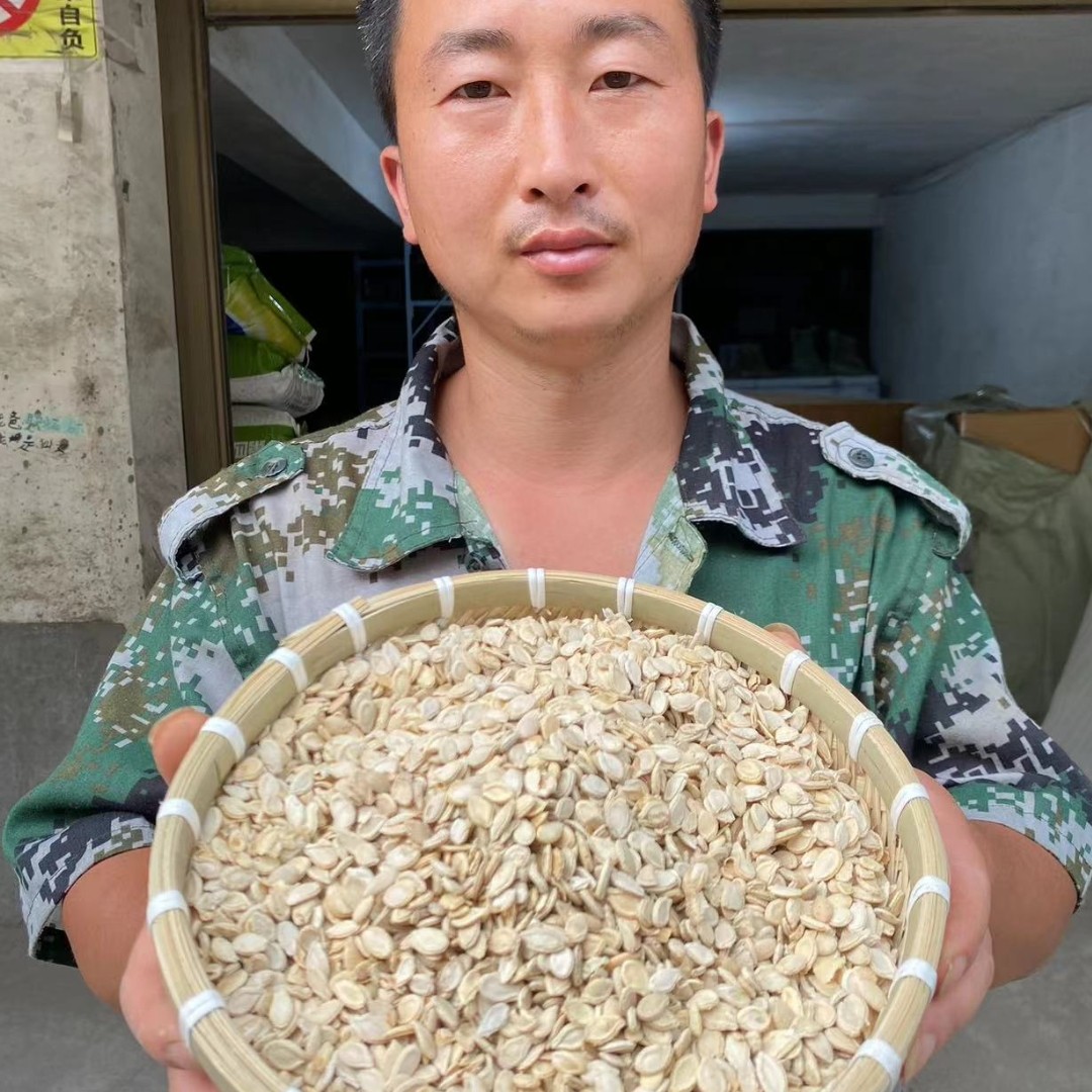 冬瓜子 河南种植冬瓜子 农家自晒 包邮