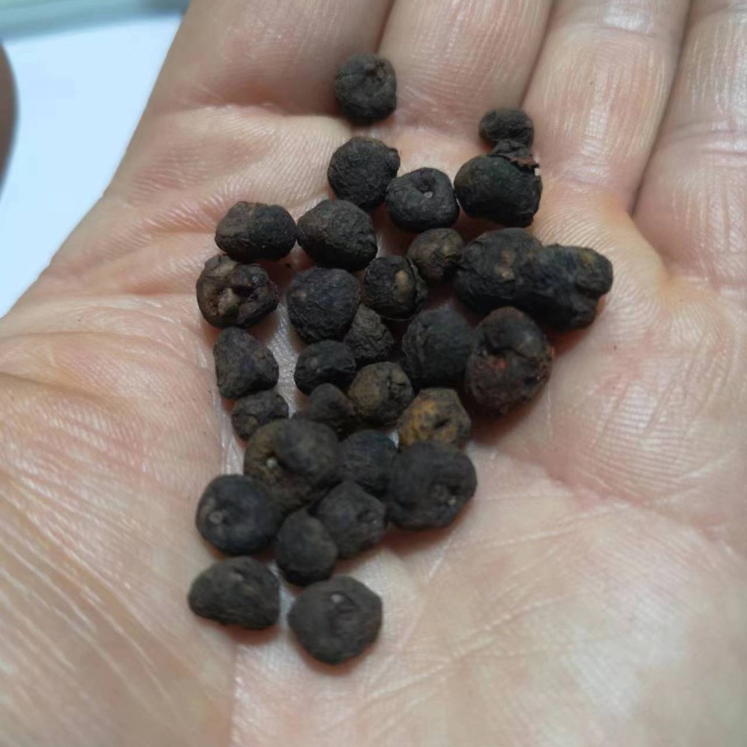 地下明珠 落地珍珠
