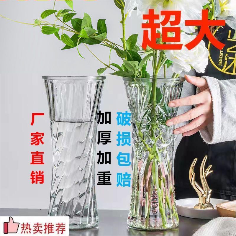 富贵竹花瓶大号玻璃花瓶加厚透明水养植物百合绿萝客厅家用插摆件