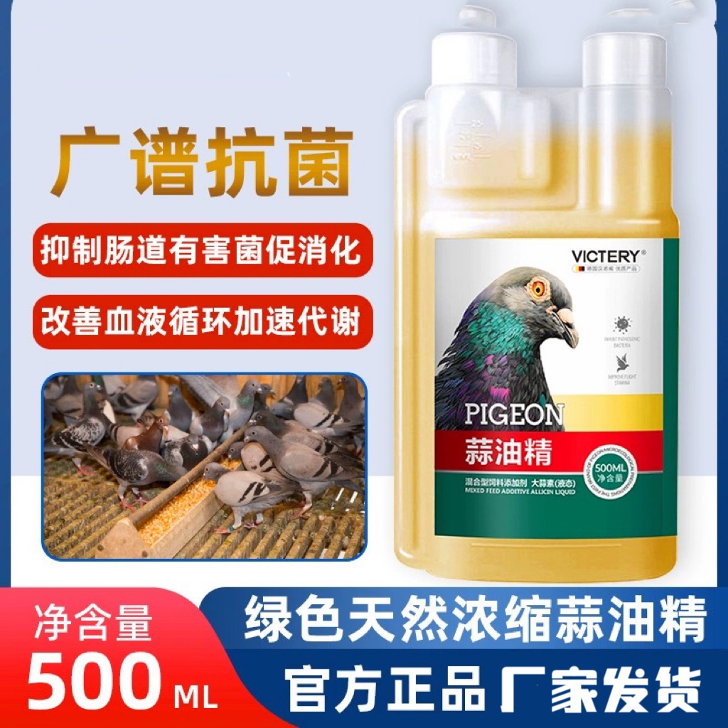 汉诺威蒜油精鸽子助消化赛鸽保健信鸽用品肠道鸽用调理大蒜精油