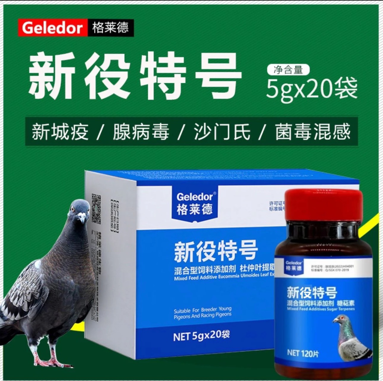 格莱德新疫特号鸽子沙门氏新城疫水绿便赛鸽信鸽养殖大全