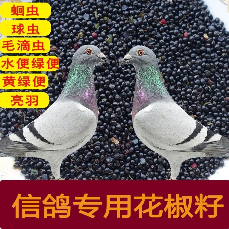 四川汉源花椒籽食用信鸽麻椒籽育苗泡脚椒目新货养殖包邮 1包5斤