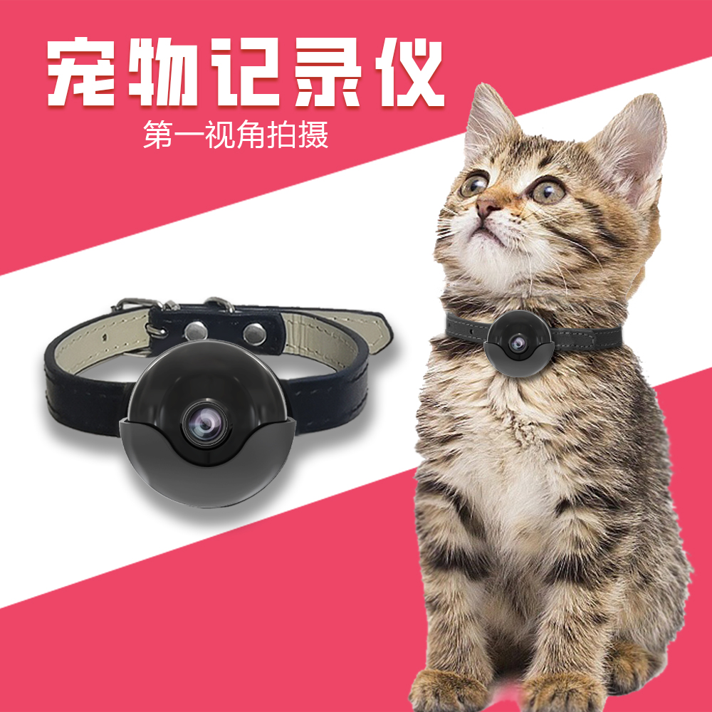 4G无线远程宠物第一视角项圈猫咪挂脖监控摄像头狗狗穿戴记录仪