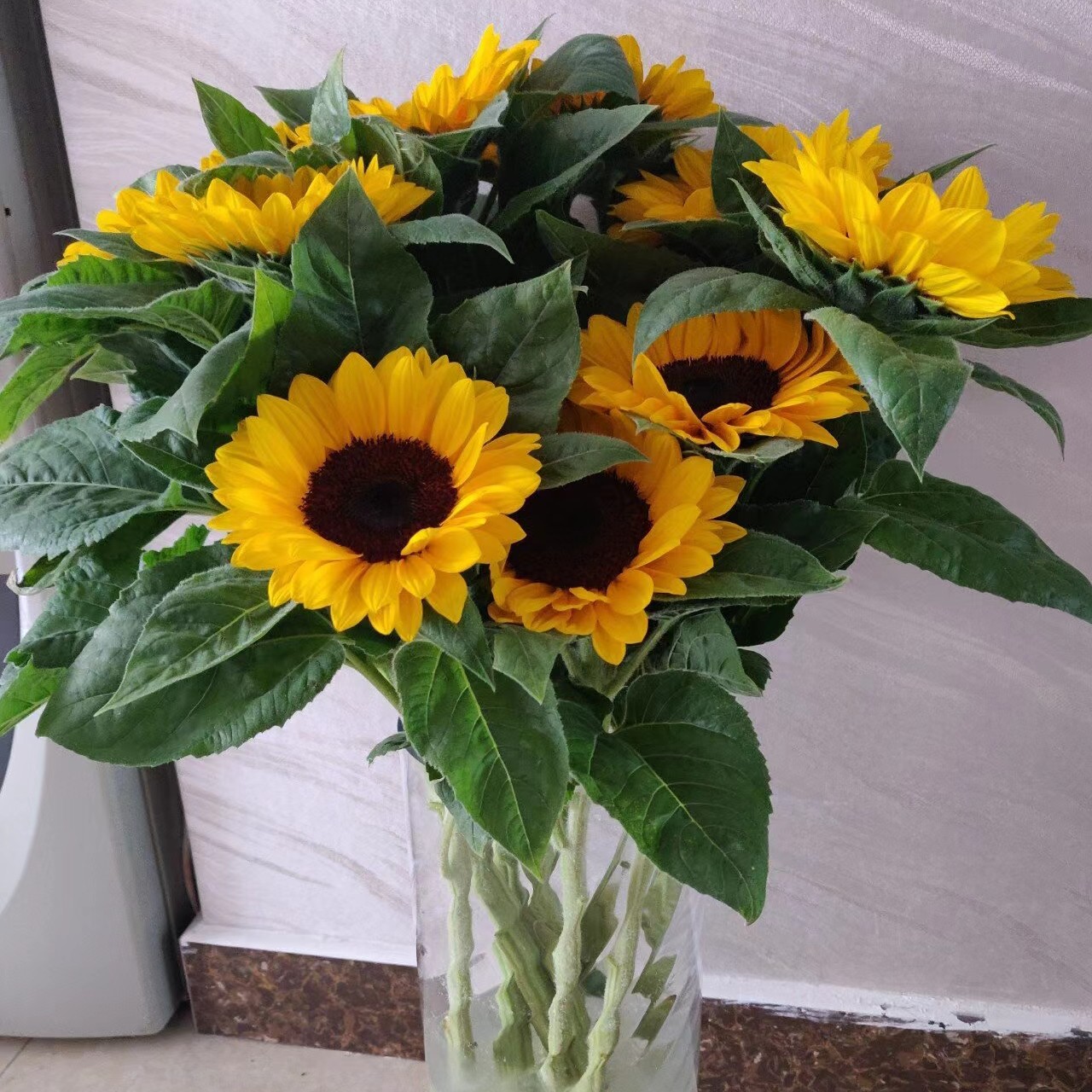 家庭用花向日葵5支送货上门质量问题包售后