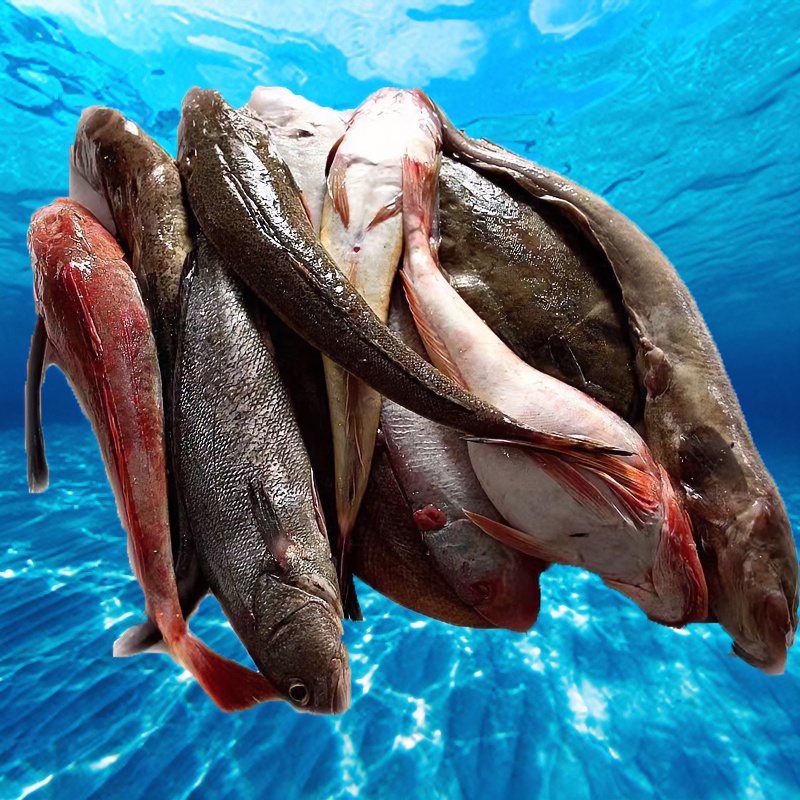 海蜇-超级福袋，物品以现场为准