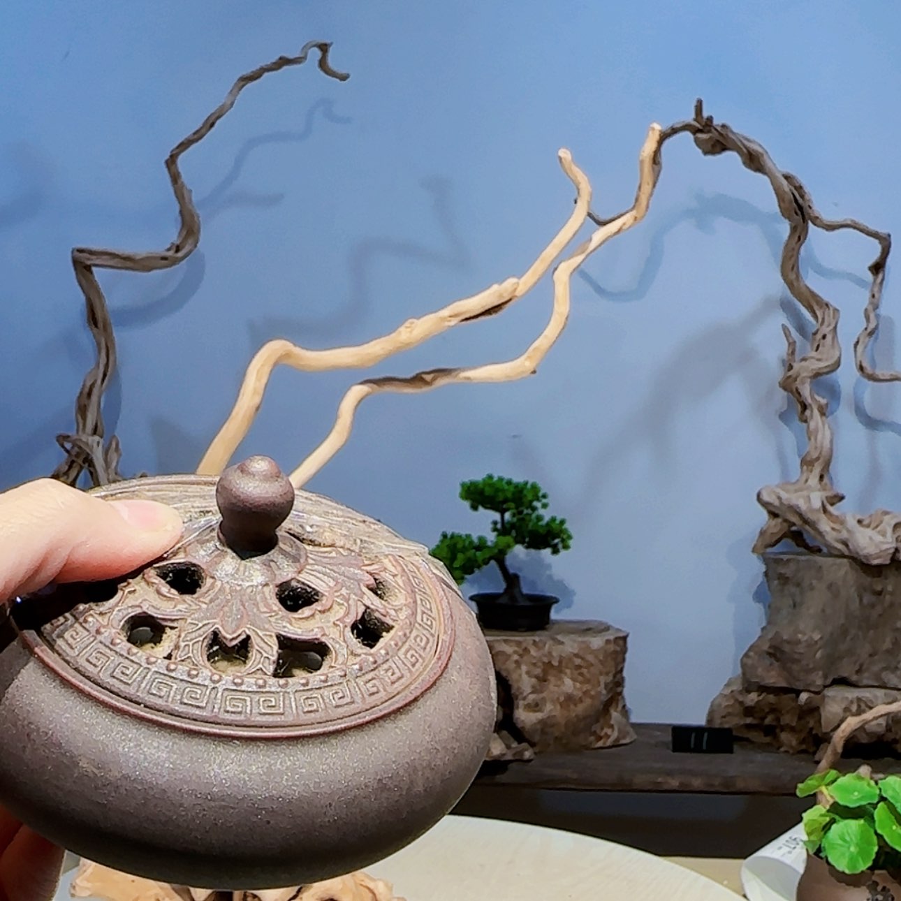 【闪购商品】1已*然1111111111111111