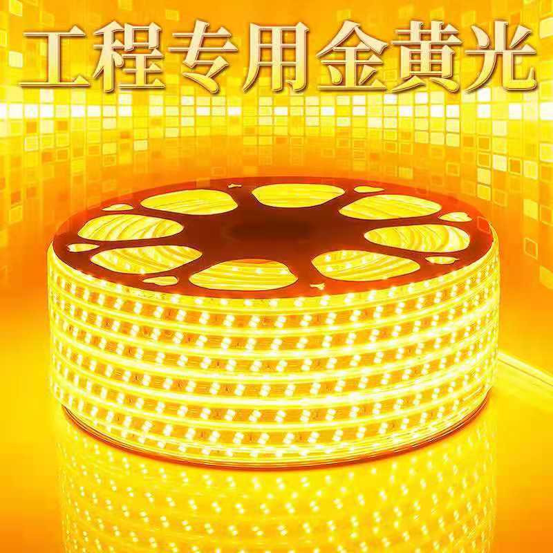 金黄光led灯带高亮家用客厅吊顶工程户外防水公园亮化220V软灯条