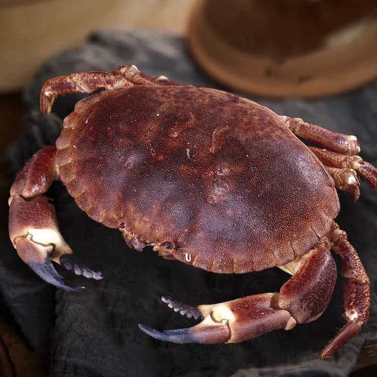 新鲜面包蟹活冻面包蟹速冻发货个别断腿介意勿拍【保鲜不包活】