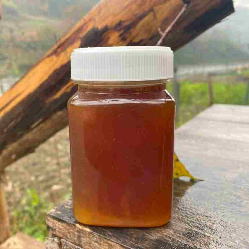 大巴山蜂蜜一年取一次土养蜂蜜城口高山蜜野生百花蜜500g