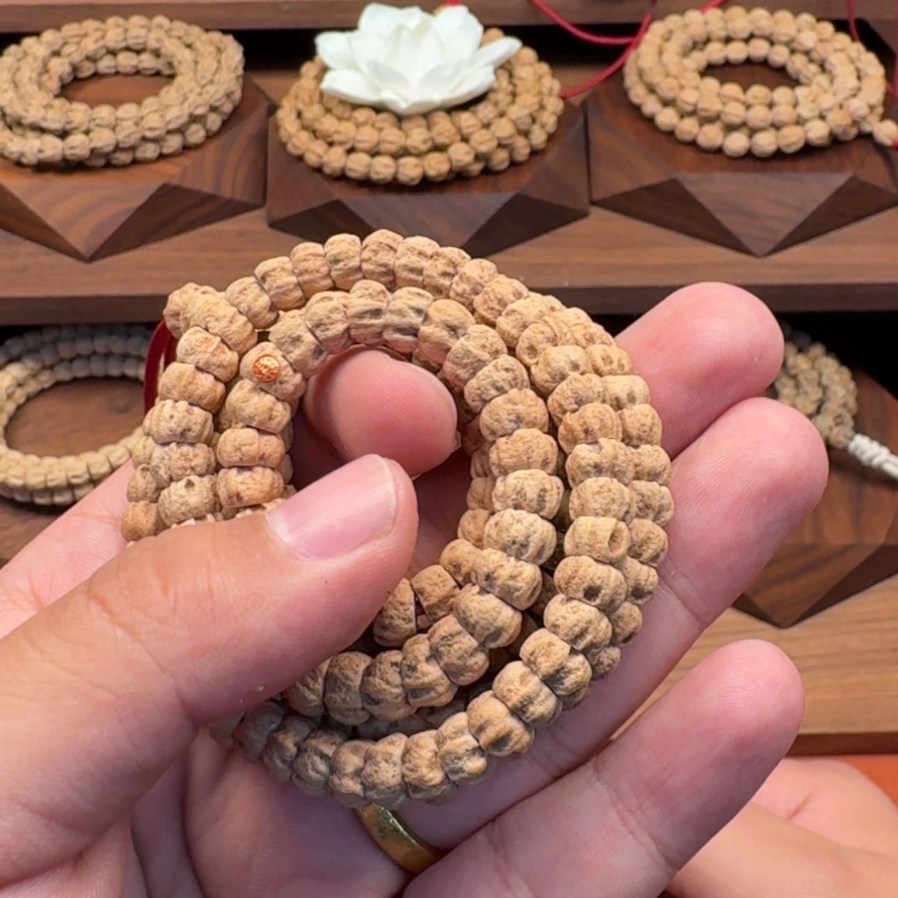 【闪购商品】柏香籽/百香籽吊坠请***蛋