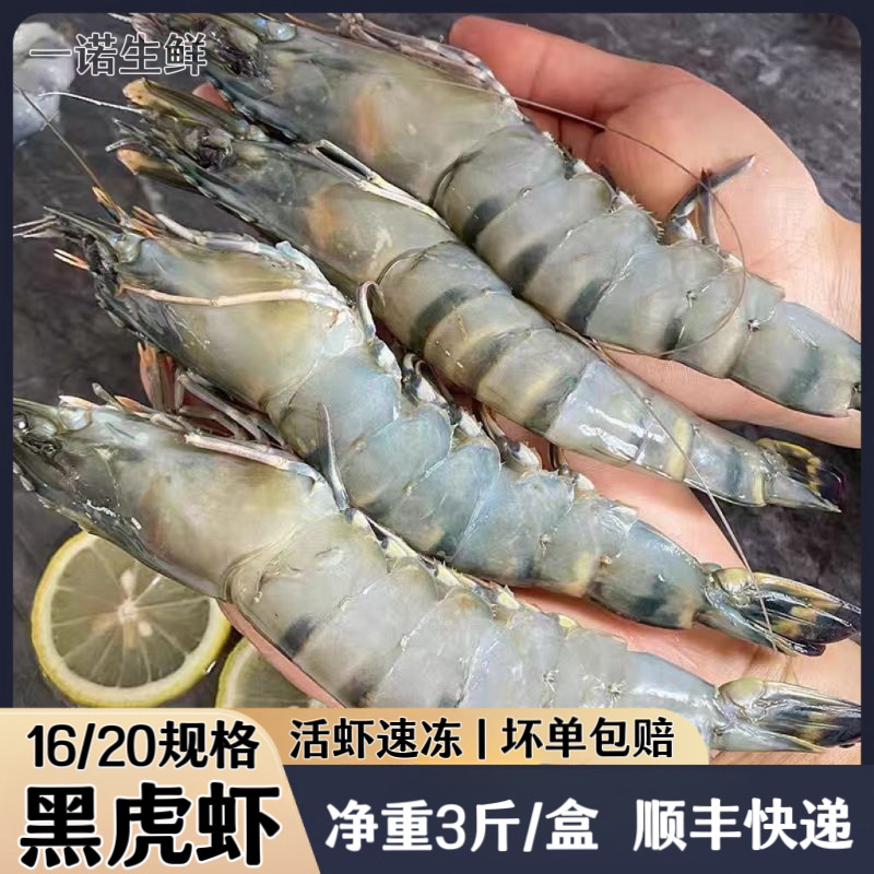 【16/20规格】特大黑虎虾海水大虾9-10只/斤生腌老虎虾顺丰冷链包邮