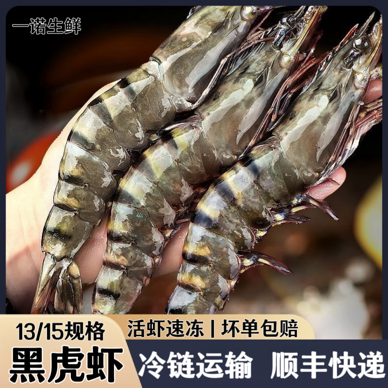 【三斤特A级】巨大13/15黑虎虾新鲜海捕虾花虾鬼虾连云港发顺丰快递
