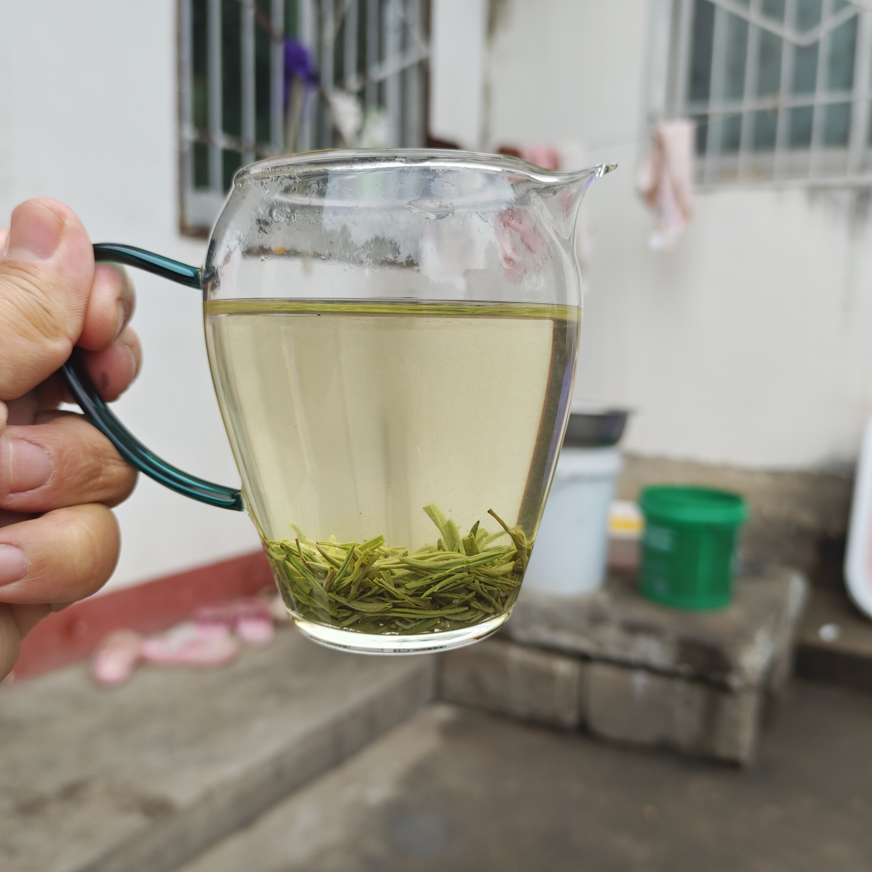 【小兰花】2025年明前信阳毛尖纯芽兰花香馥郁香甜不苦涩回甘持久