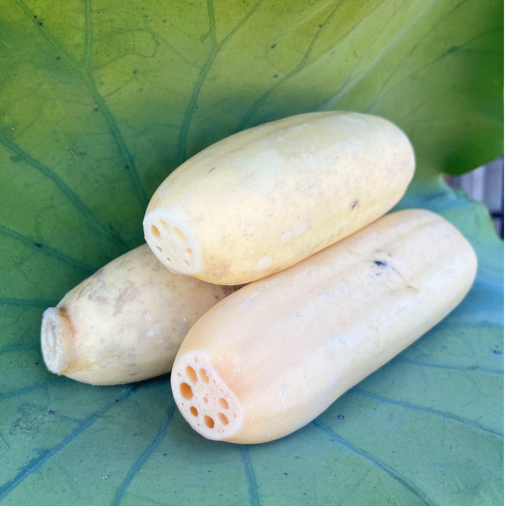 闵佳鲜脆藕洪湖莲藕新鲜现挖嫩藕清炒凉拌清水藕片水果藕脆藕