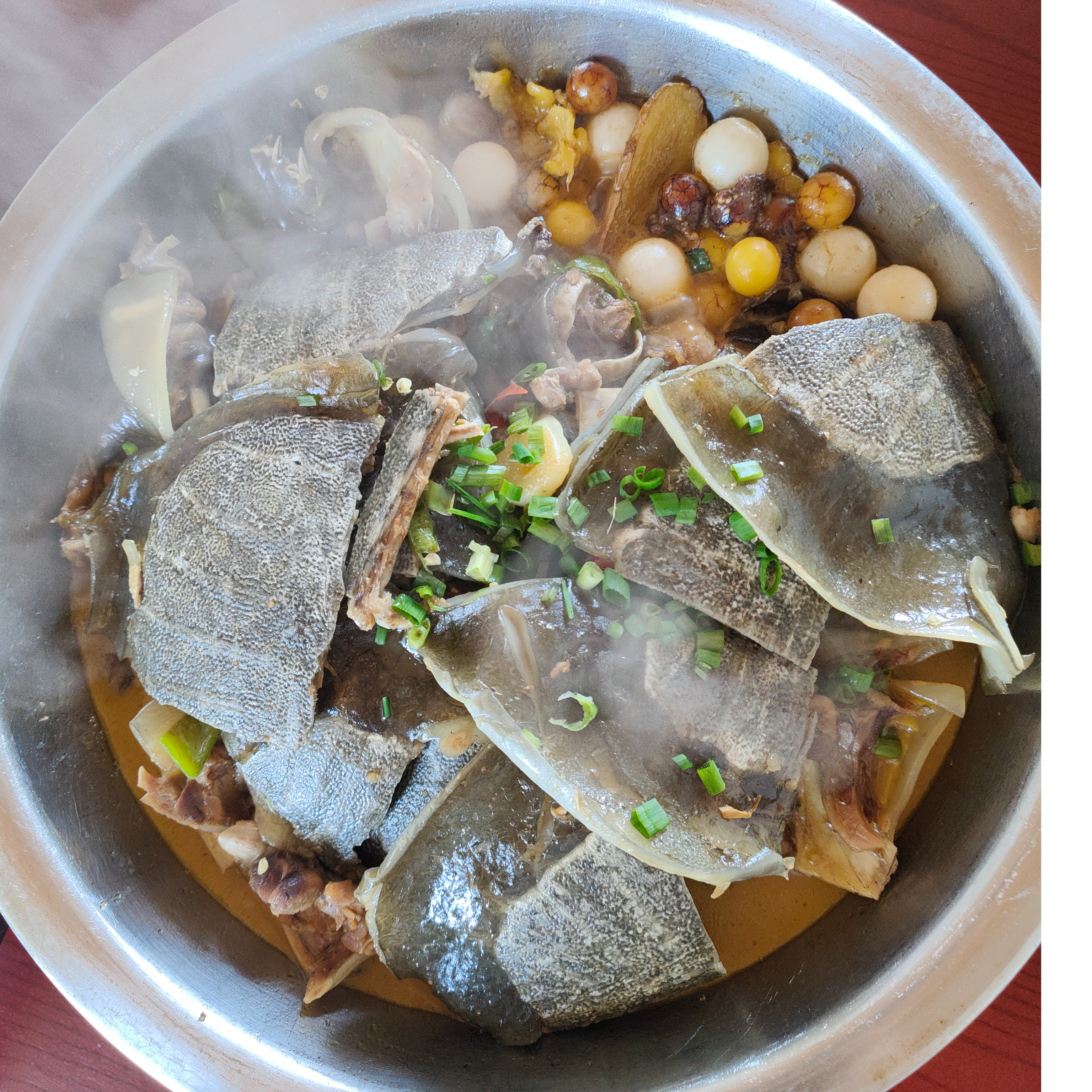 外塘生态甲鱼汉寿甲鱼明珠辉甲鱼