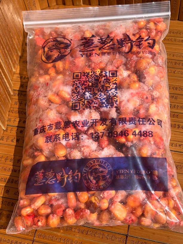 野钓玉米.远投海竿.玉米有风情况抛洒集中