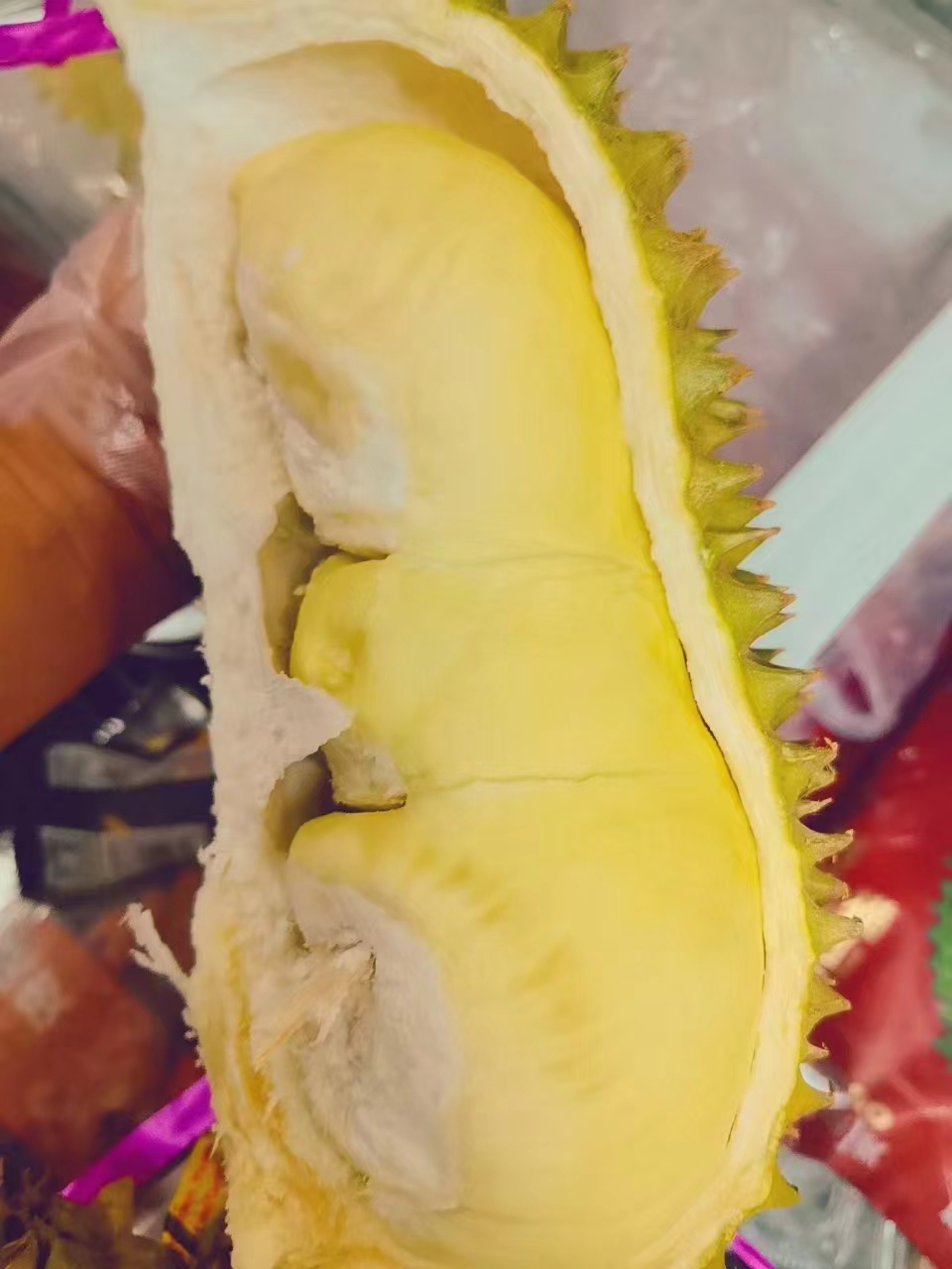 树熟金枕榴莲，现扒果肉
