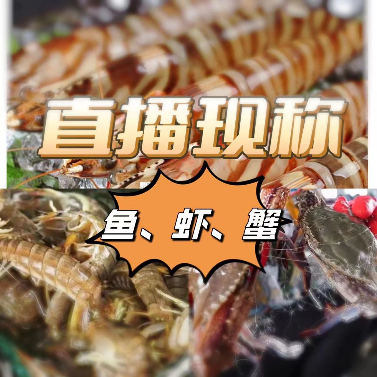 厦门同城东山中大管4斤 直播间专属链接
