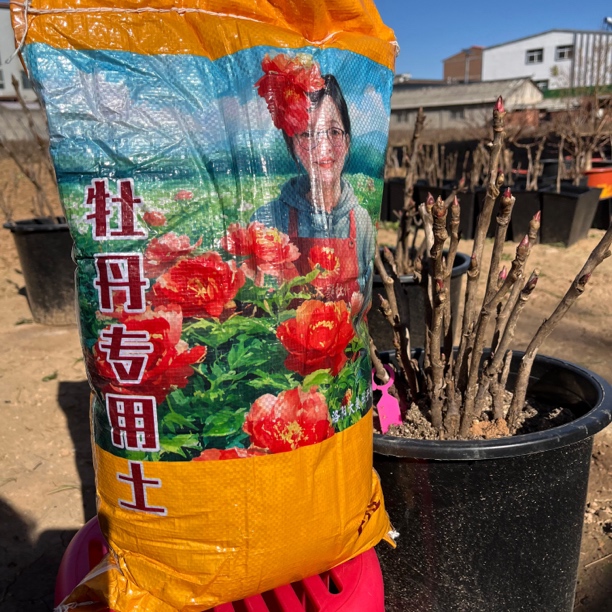 牡丹专用土 疏松透气适合牡丹生长盆栽地栽牡丹芍药专用营养土