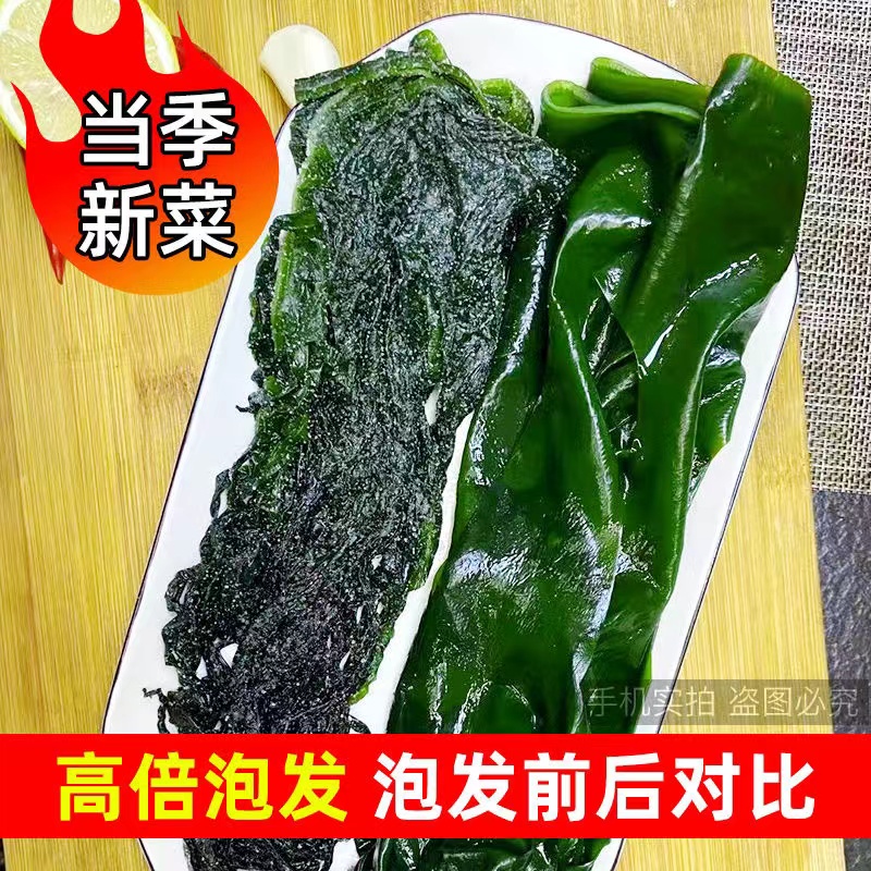 优选盐渍裙带菜五斤/箱口感细腻鲜嫩新鲜美味