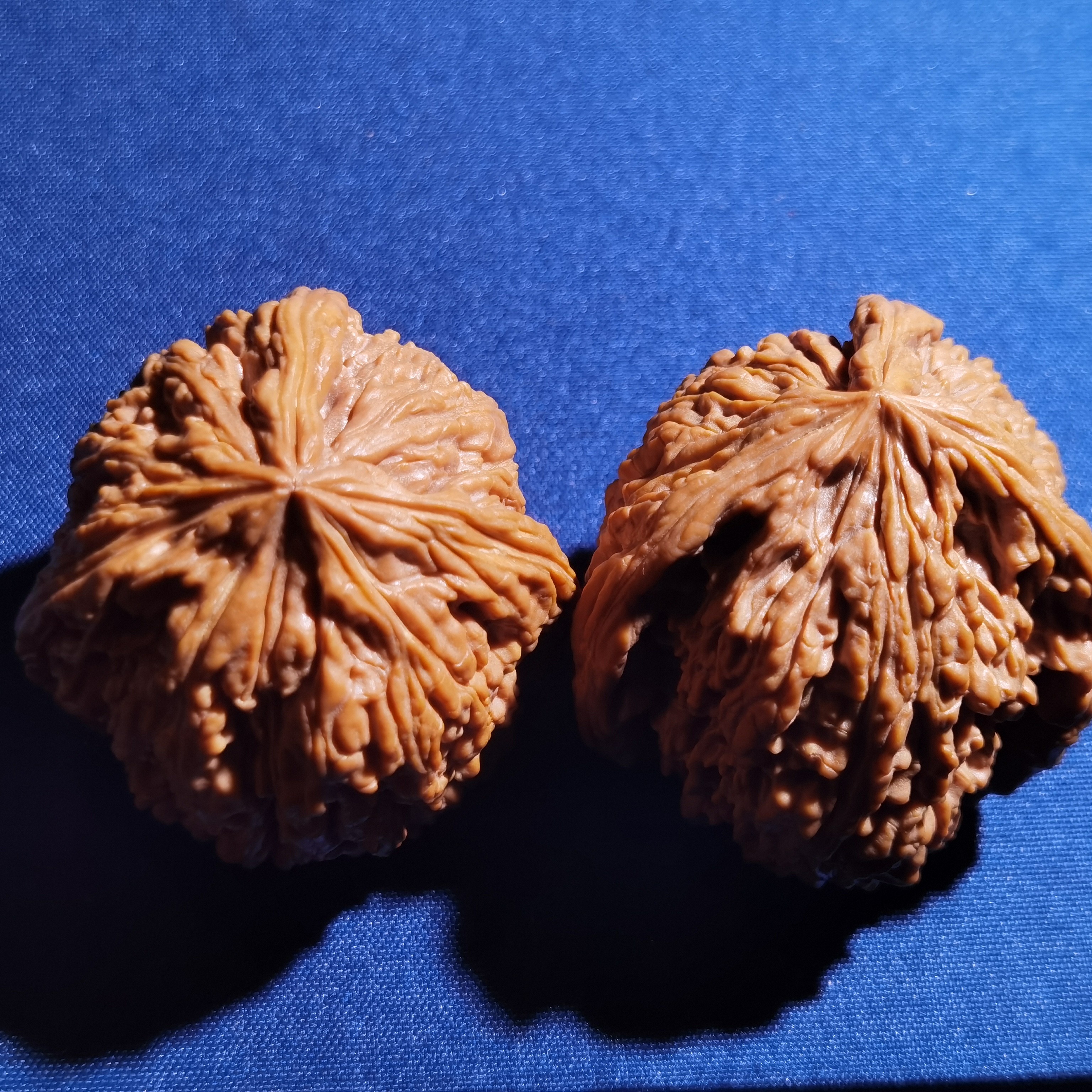 三棱南疆石（南将石）尺寸40*39
