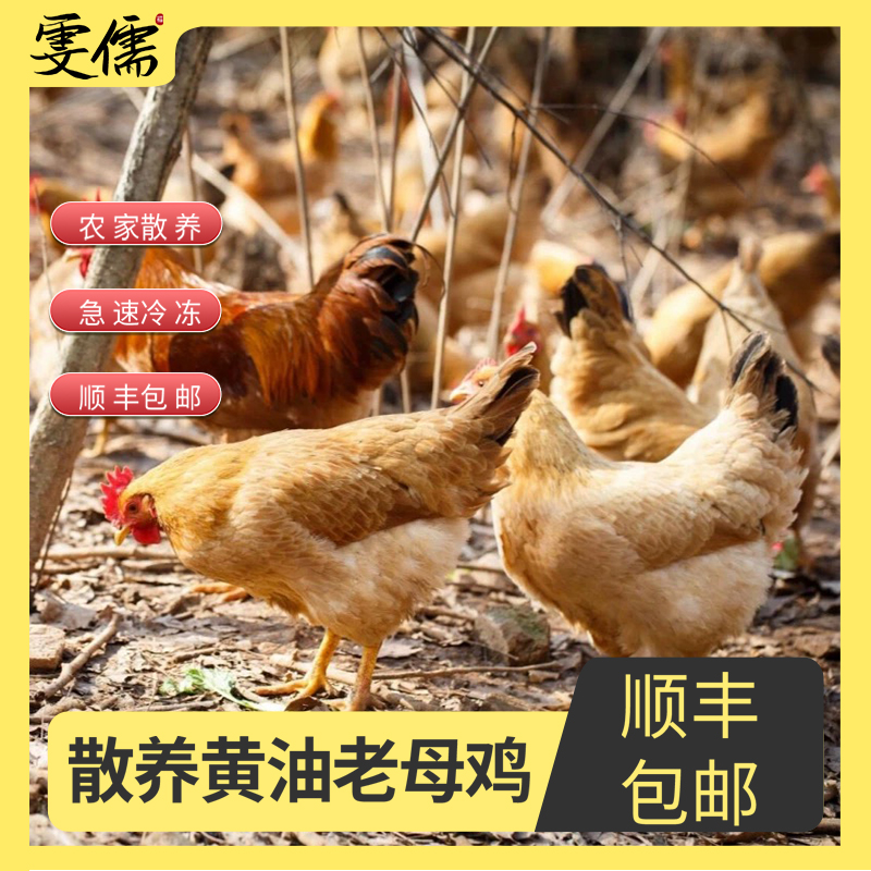 买三送一共4只黄油老母鸡 带内脏净重共9斤-10斤