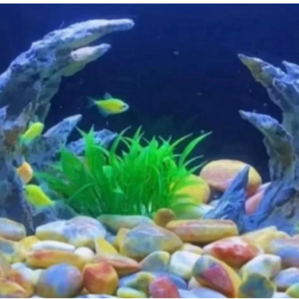 天然戈壁石造景石鱼缸石随机发《不包邮》