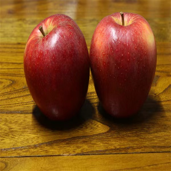 苹果苹果苹果苹果苹果苹果苹果苹果