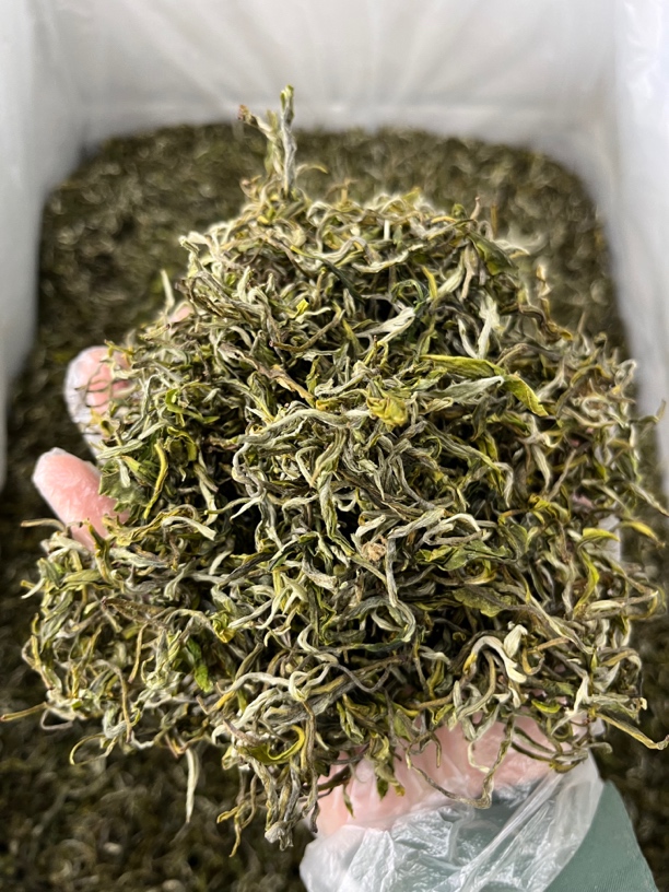 普洱有机春尖（二级））