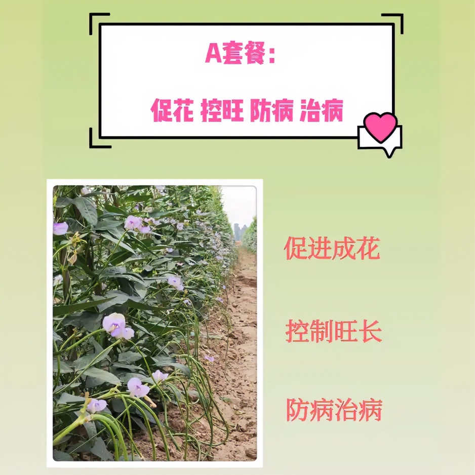 A套餐（含微量元素水溶肥）防病壮苗促进花芽控旺