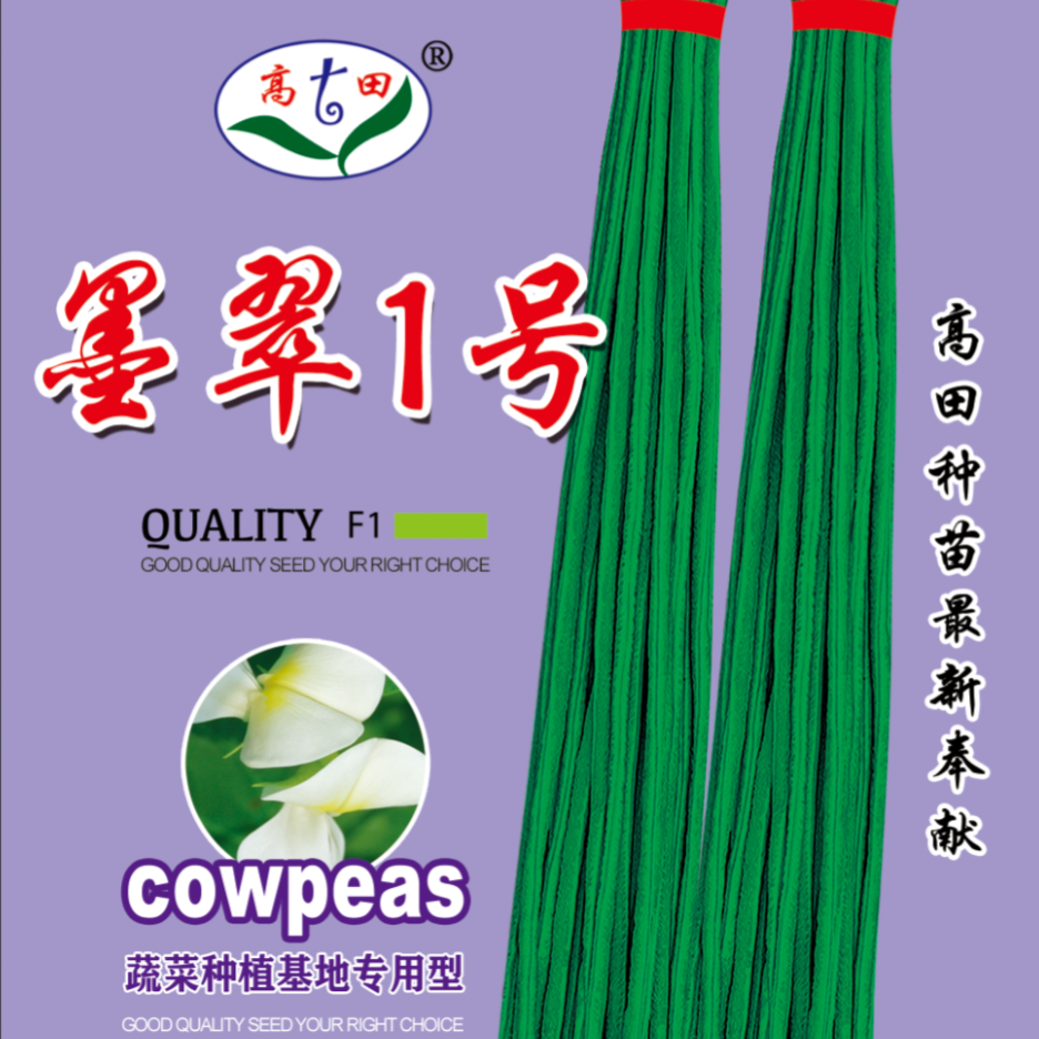 墨翠1号豇豆种子种高田种业（墨绿色）条长高产厚肉豆角顺直