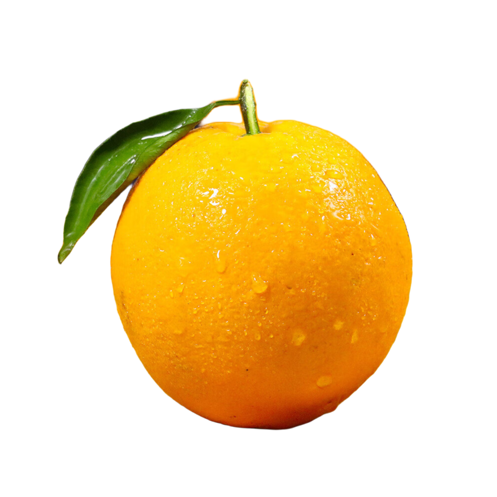赣南脐橙橙子