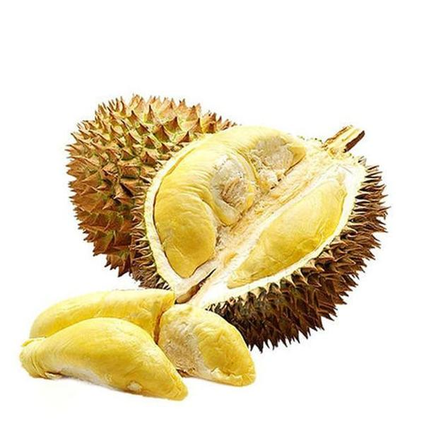 【海口同城送】金枕榴莲鲜果肉现开新鲜榴莲软糯香甜500g起核小金枕泰国