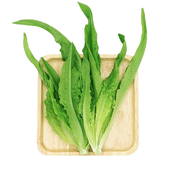 油麦菜 约250g/份±50g