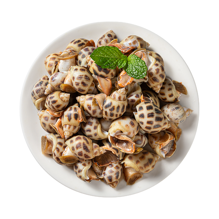 无品牌鲜跃净化花螺240g-250g/份