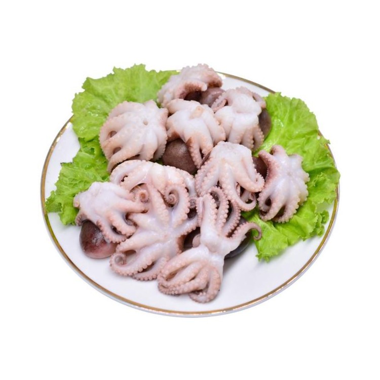 八爪鱼一斤