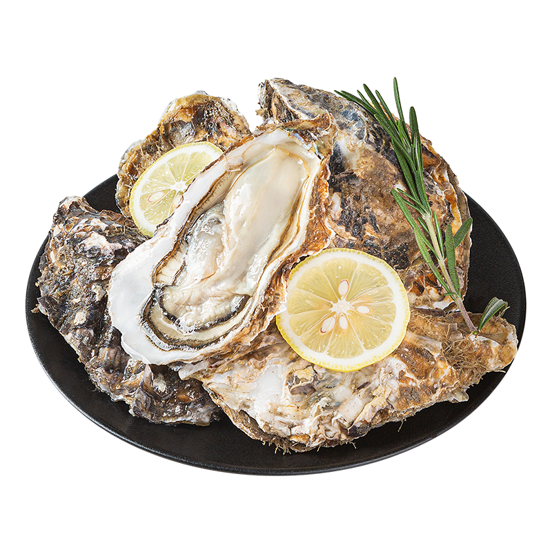 鲜活乳山生蚝1.4kg-1.5kg