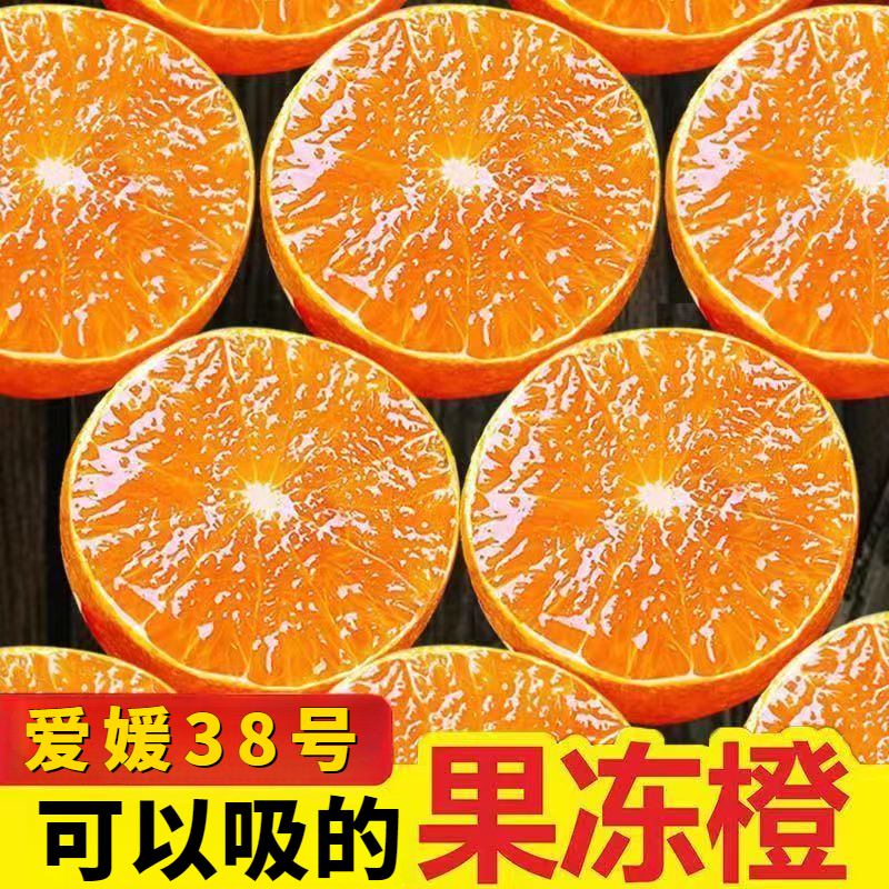 爱媛果冻橙新鲜水果甜柑橘桔子薄皮橙子手剥橙子香甜饱满产地直发