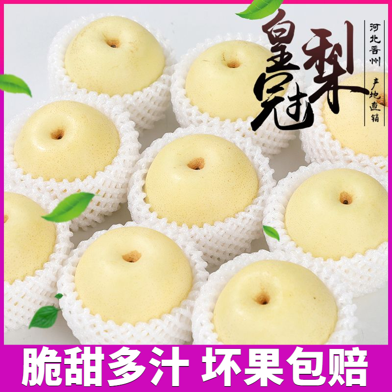 现摘现发正宗河北皇冠梨新鲜水果当季雪花梨食用红香梨早酥梨梨子