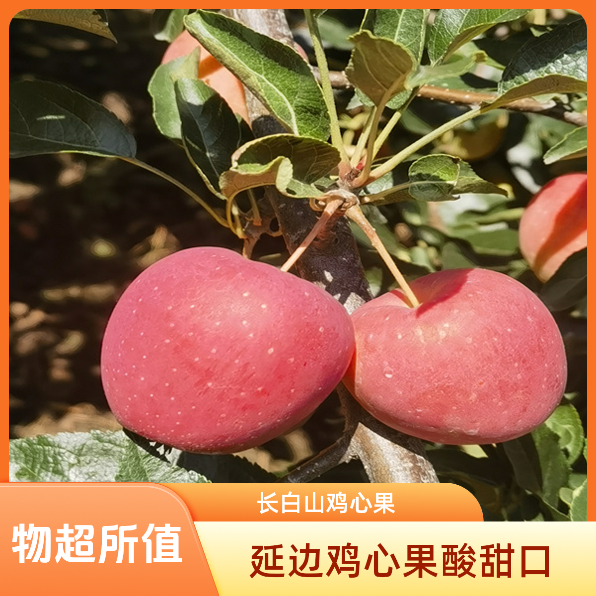 延边新鲜鸡心果酸甜口脆脆的净重3/5/9斤【大小混装】