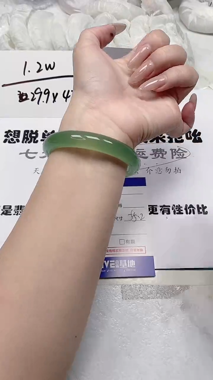 【闪购商品】石英质玉手镯未镶嵌124号55