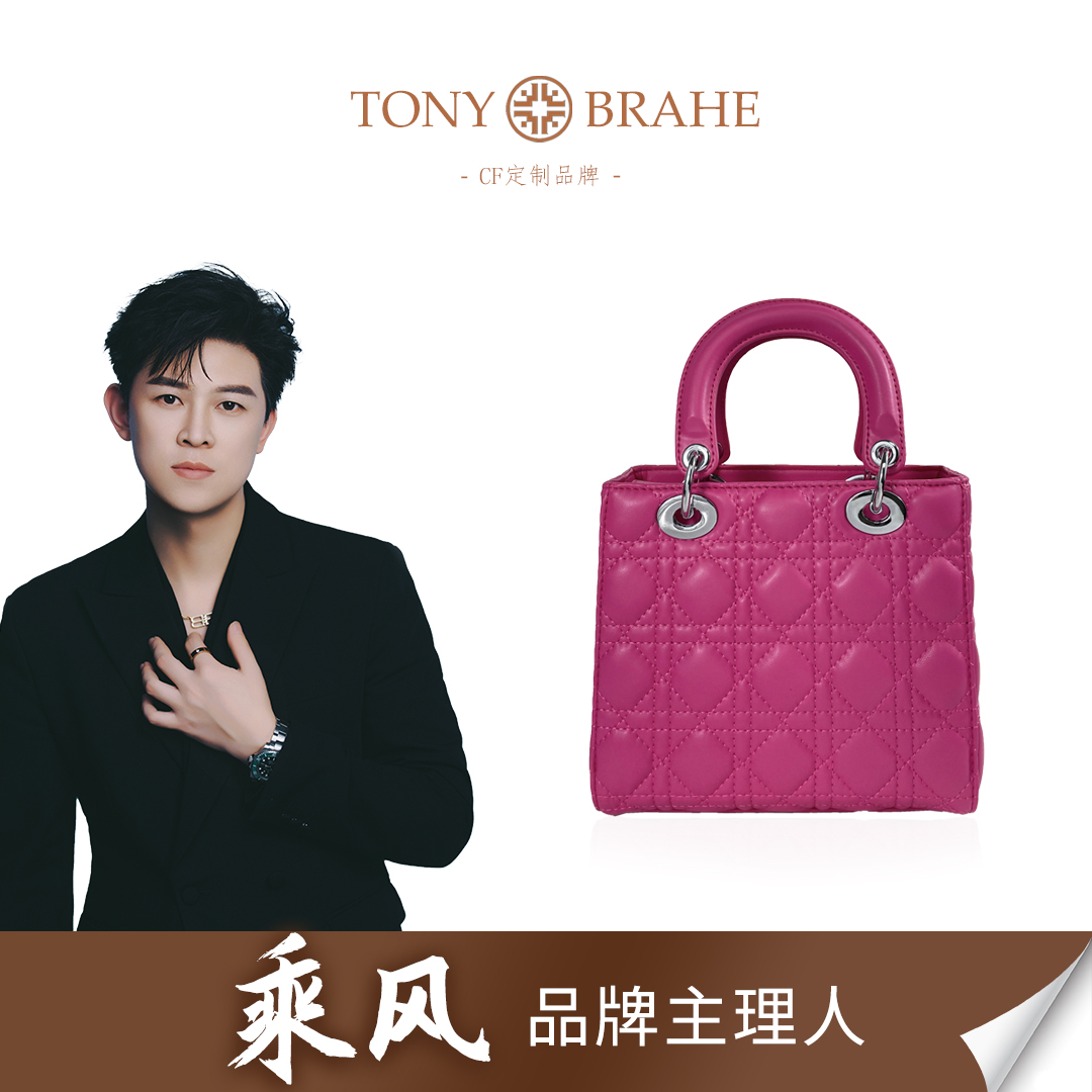 玫红新款高级质感手提斜挎包