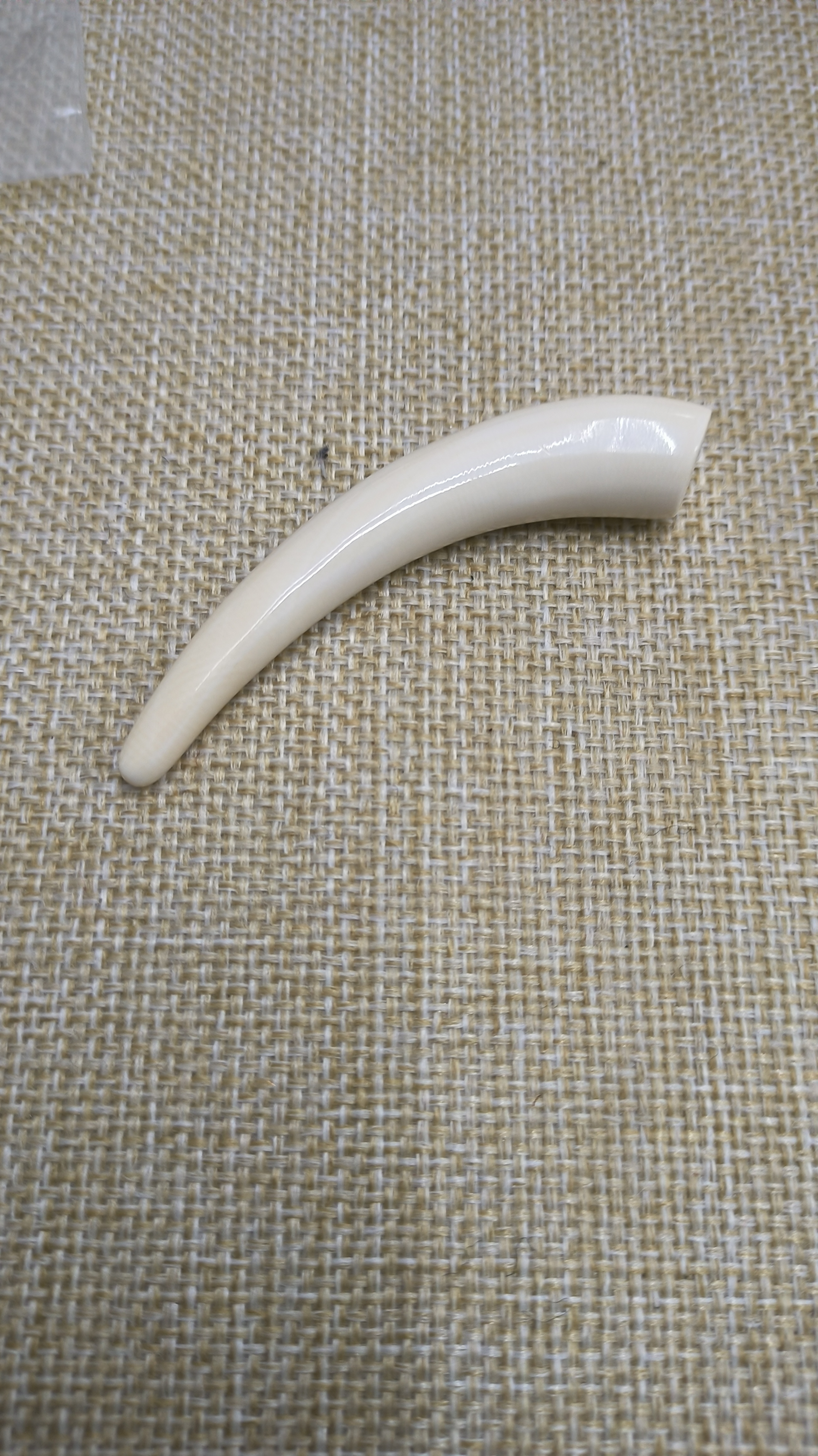 精品猛犸把件9670