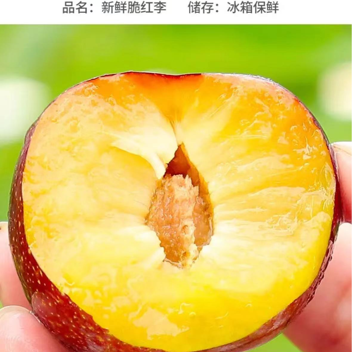 汶川高山小脆红李脱骨李子新鲜应季水果脆甜李子