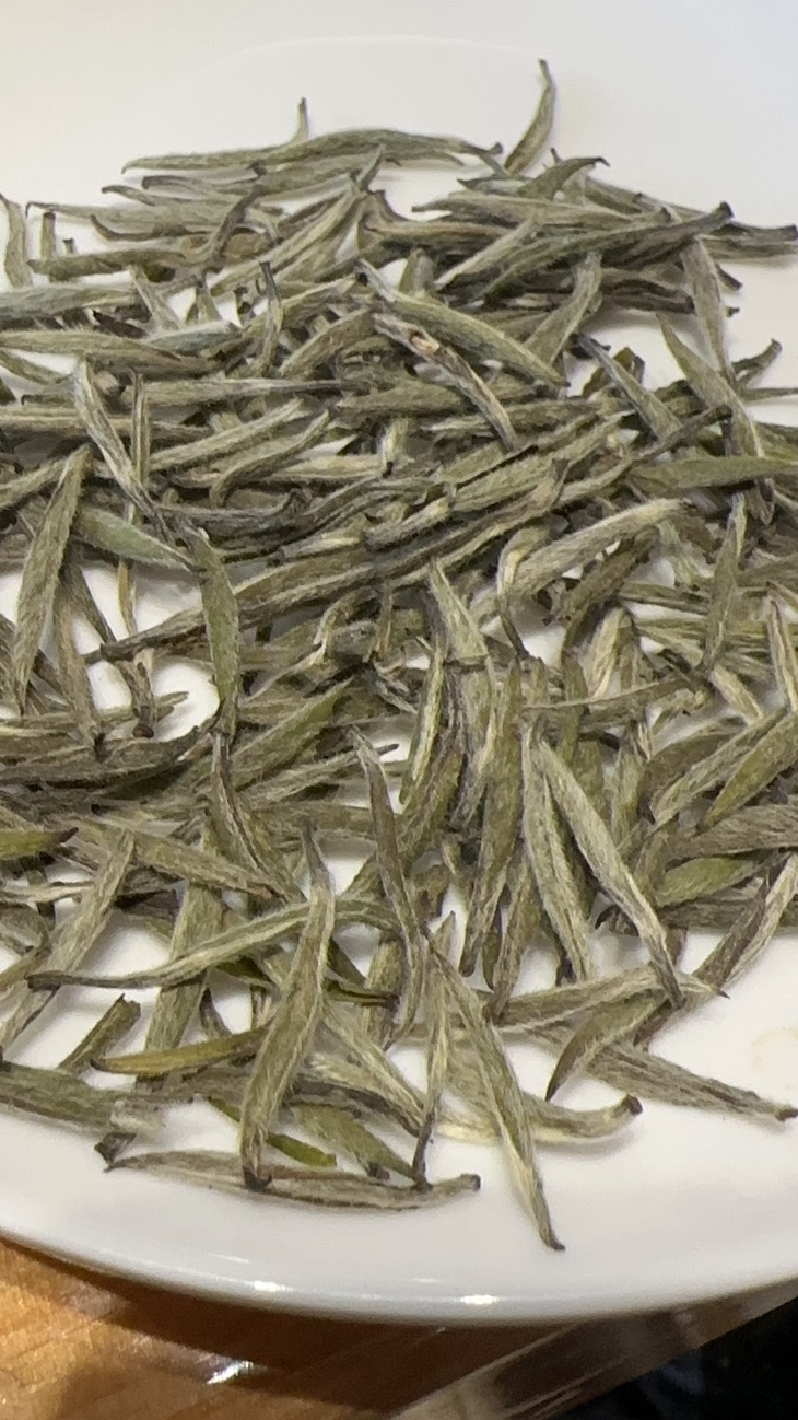 2023年政大银针（掐针）