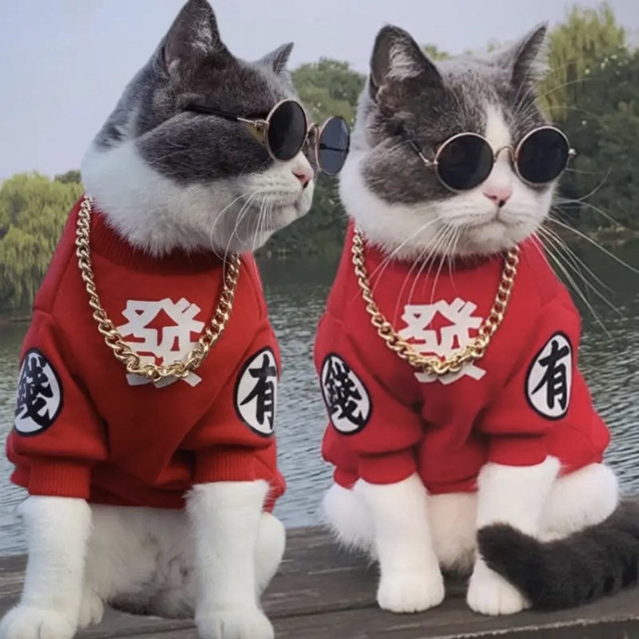 猫咪衣服秋冬款保暖布偶防掉毛宠物加绒新年喜庆蓝猫银渐层拜年服