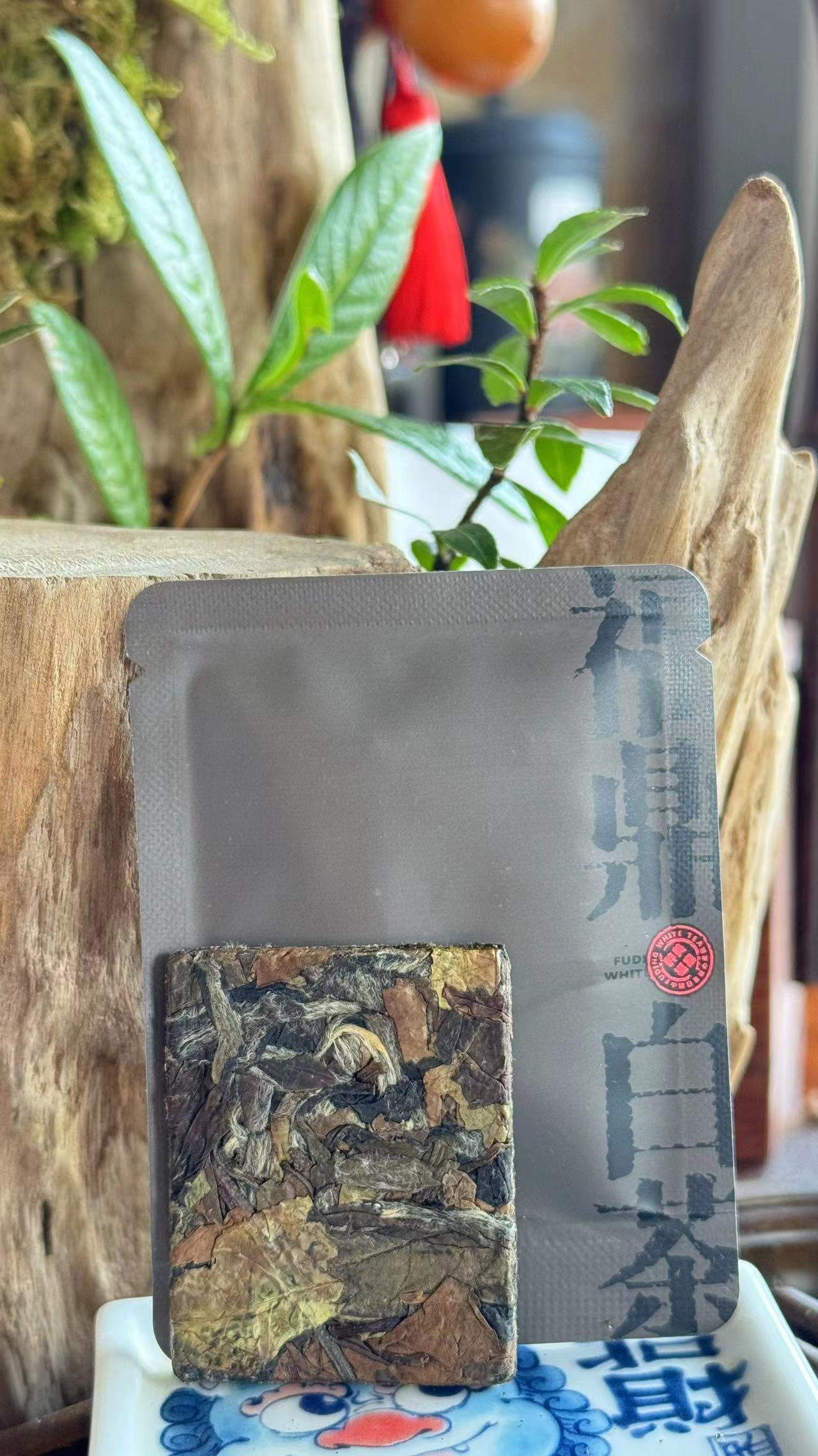 古旨  寿眉饼干茶